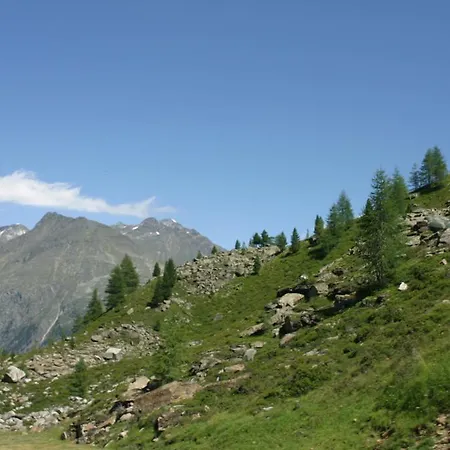 Hotel Alpenhotel 2*