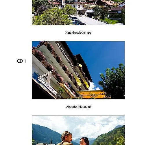 Hotel Alpenhotel Oetz