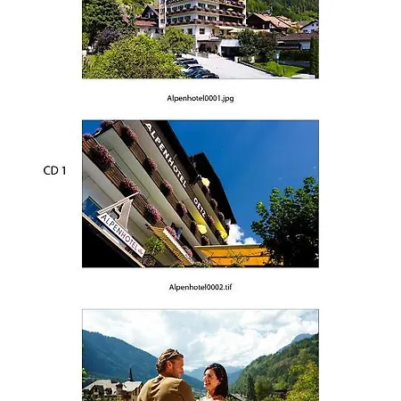 فندق Alpenhotel اوتز