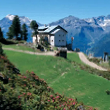 Alpenhotel 2*