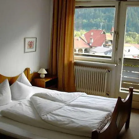 Alpenhotel 2*